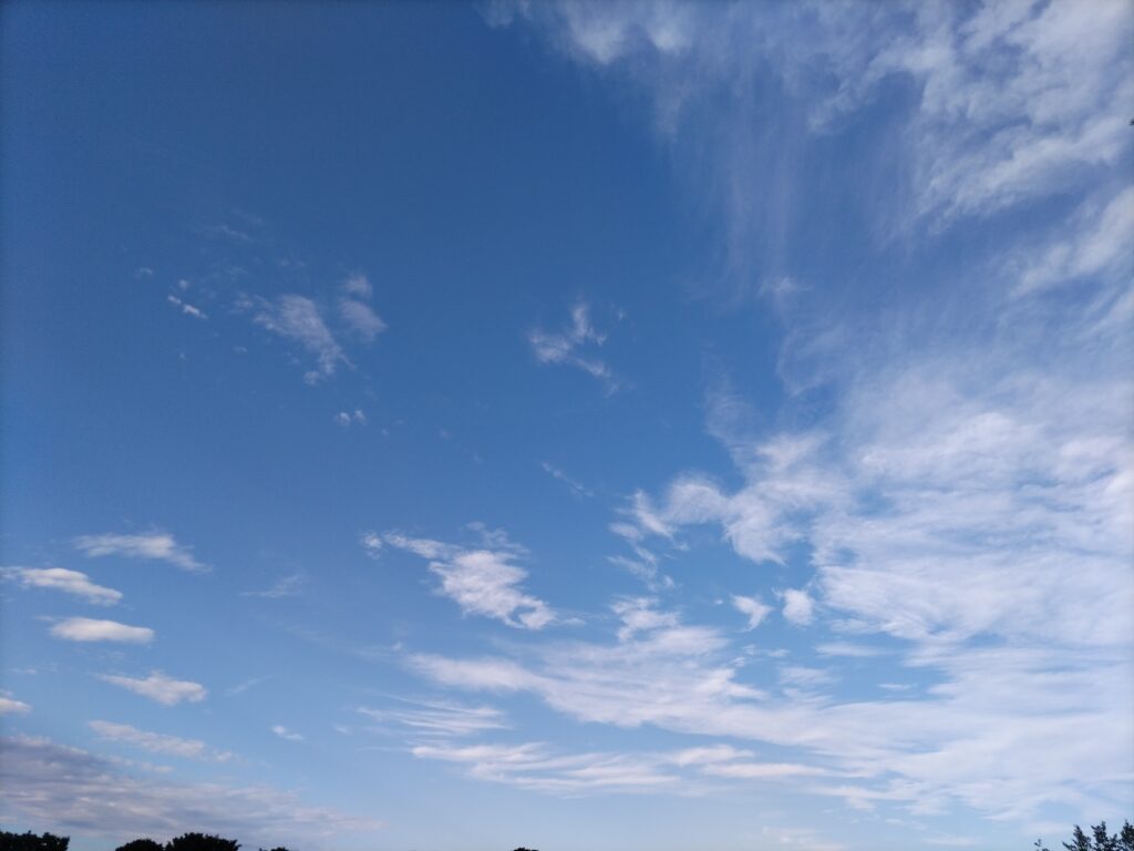 埼玉県結婚相談所　スミレクラブ　楽しいイベント