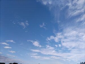 埼玉県結婚相談所　スミレクラブ　楽しいイベント