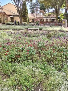 埼玉県結婚相談所　スミレクラブ　第5回スキルアップ塾