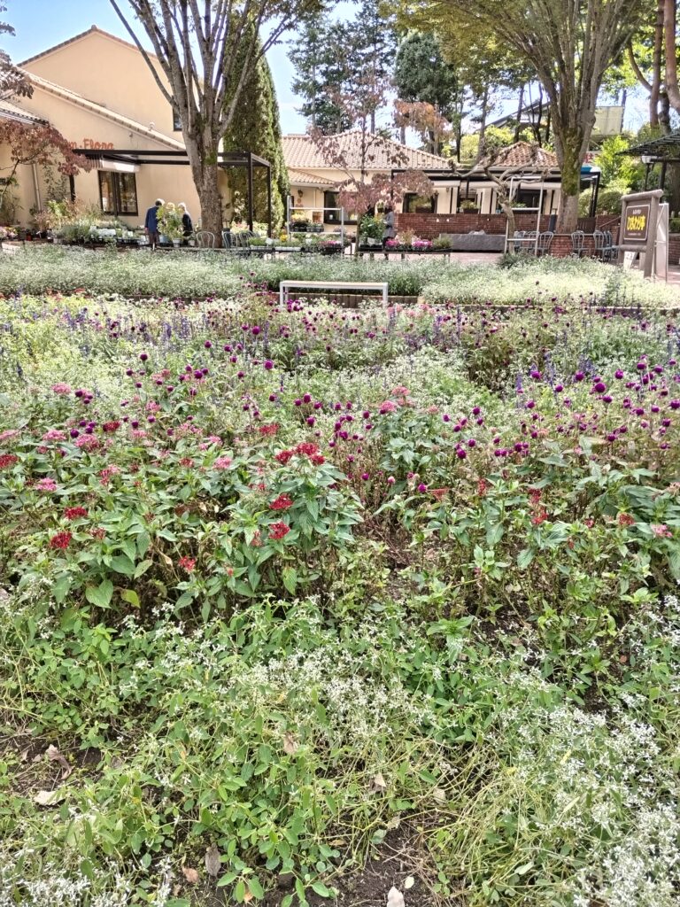 埼玉県結婚相談所　スミレクラブ　第5回スキルアップ塾