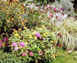 埼玉県結婚相談所 スミレクラブ 大学生とコラボ授業