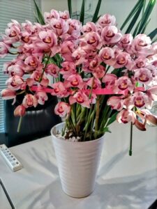 埼玉県川越市結婚相談所 【スミレクラブ】年末あいさつ