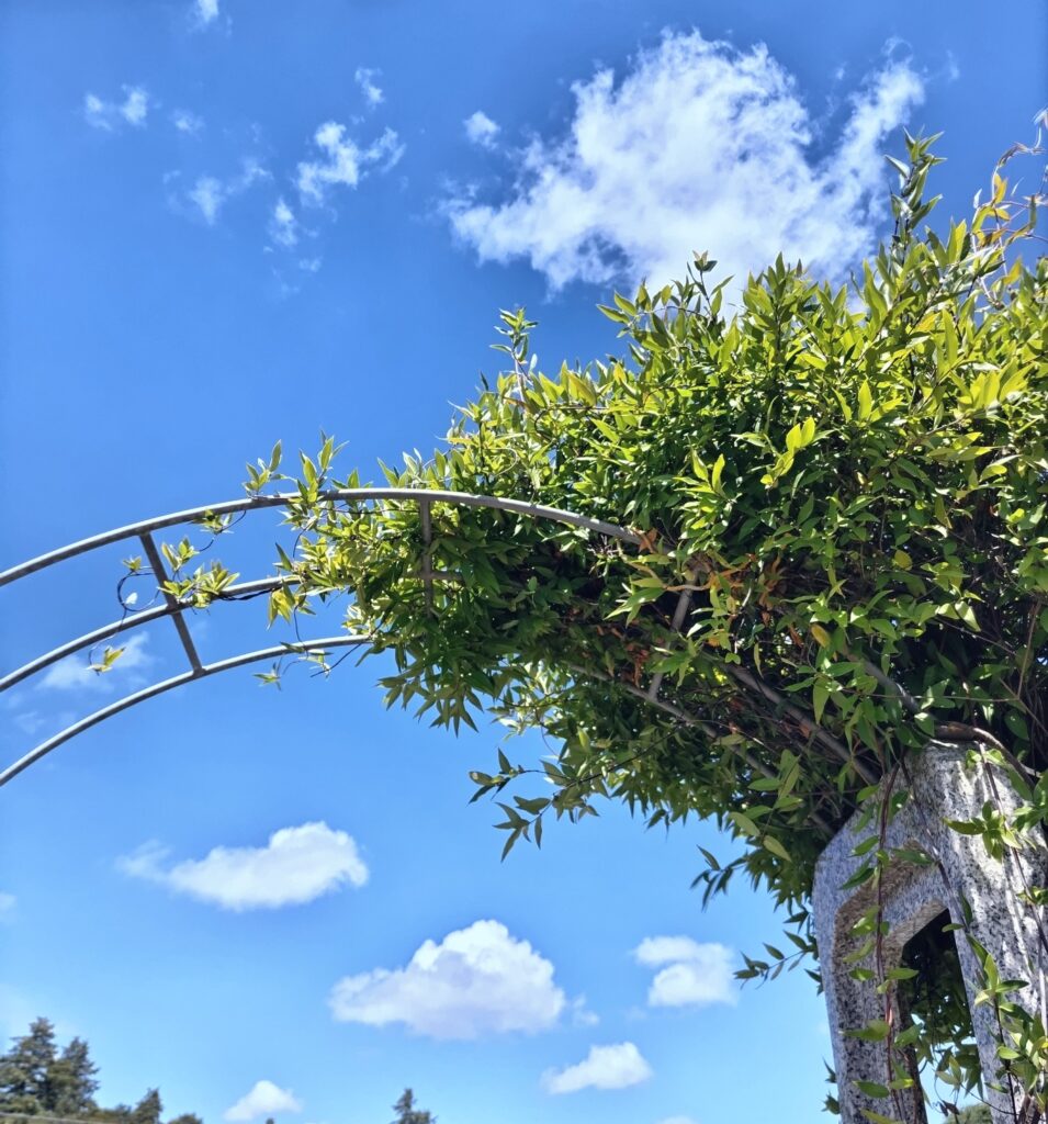 埼玉県川越市 結婚相談所 スミレクラブ 婚活セミナー講師