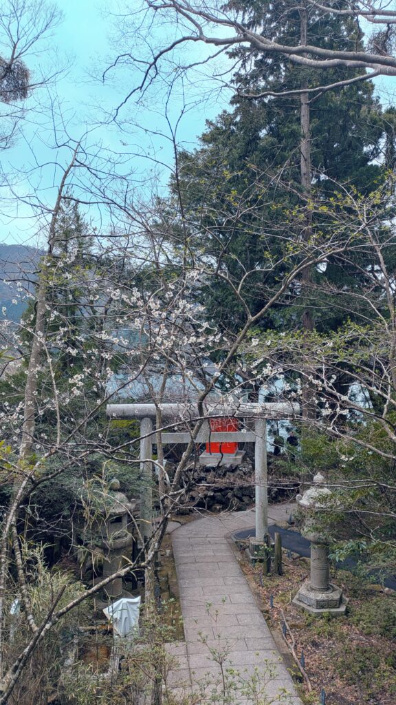 九頭龍神社本宮から見た弁財天社と桜【埼玉県川越市結婚相談所スミレクラブ】