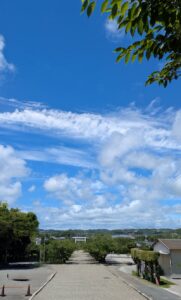 大切にしたい心【埼玉県川越市結婚相談所スミレクラブ】