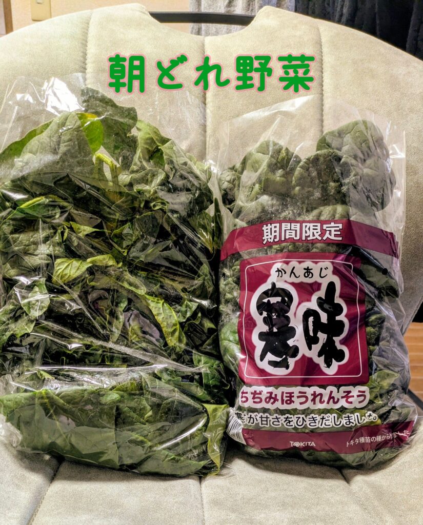 成婚お食事会 埼玉県川越市結婚相談所スミレクラブ